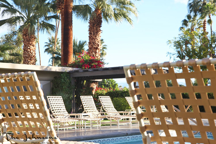 thejohnsons_deserthills01